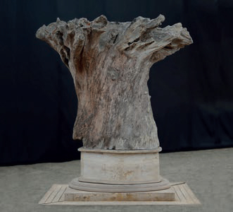 1850-275X-cas-56-41-gf11.jpg